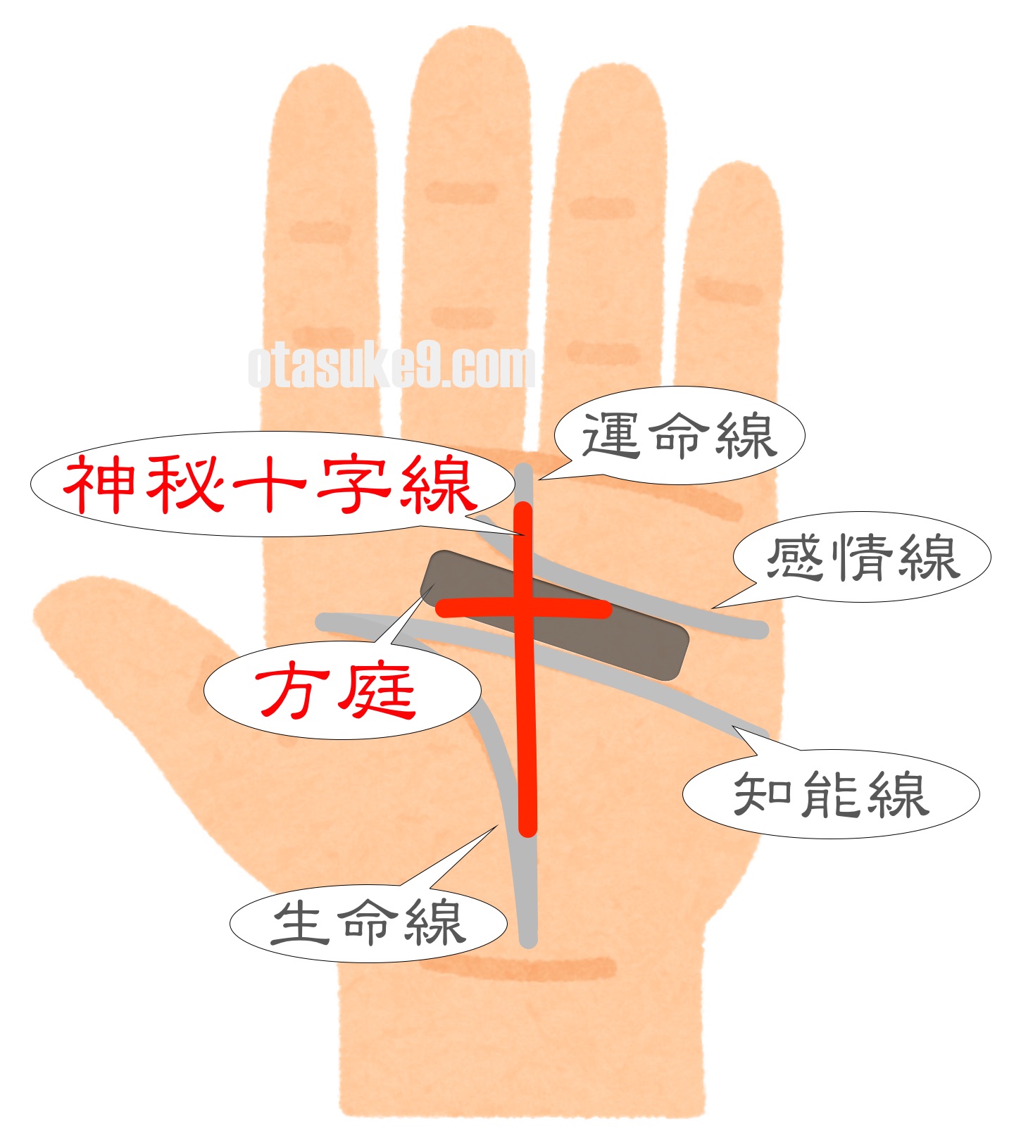 十字がある手相は幸運の手相 手のひらのバツ印 やプラス の意味は